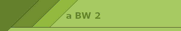 a BW 2